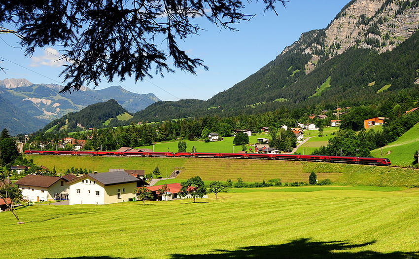 Alam, Pohon, Rumput, Pegunungan, Austria Wallpaper HD