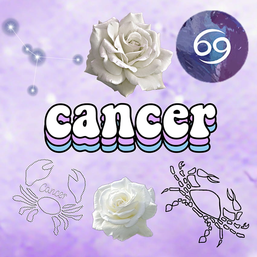 toedit Im Making Zodiac Sign That People - Garden Roses -, Cancer Sign HD phone wallpaper