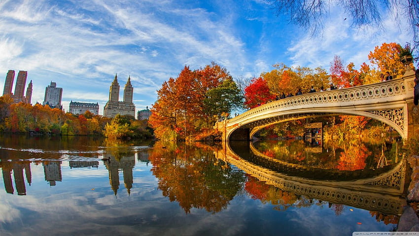 Feuillage d'automne à Central Park à New York Fond d'écran HD | Pxfuel