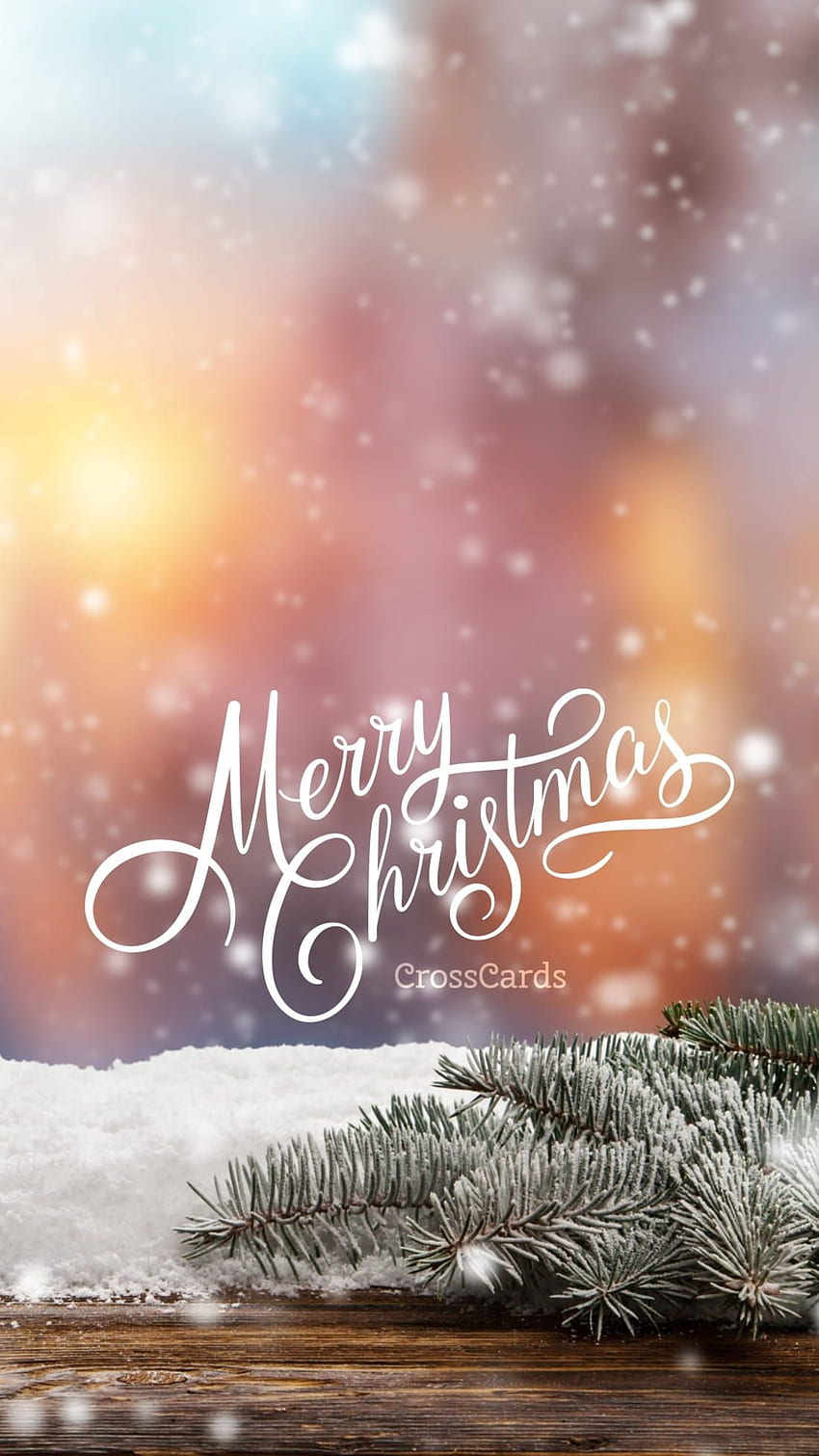 Merry Christmas to You - Phone and Mobile Background HD phone wallpaper