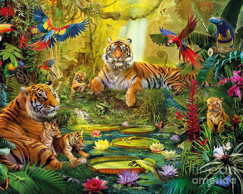 Zwierzęta z dżungli Prawdziwe życie, zwierzęta z safari Tapeta HD