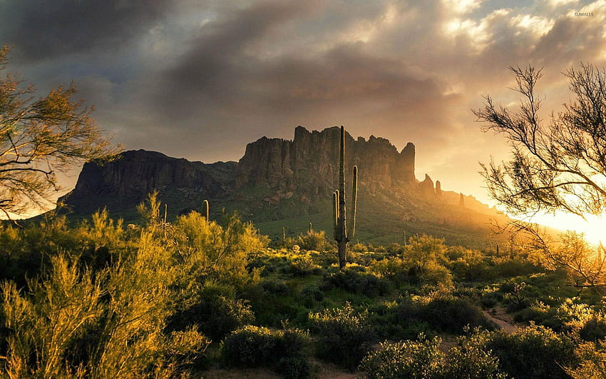 Superstition Mountains, Arizona - Nature HD wallpaper