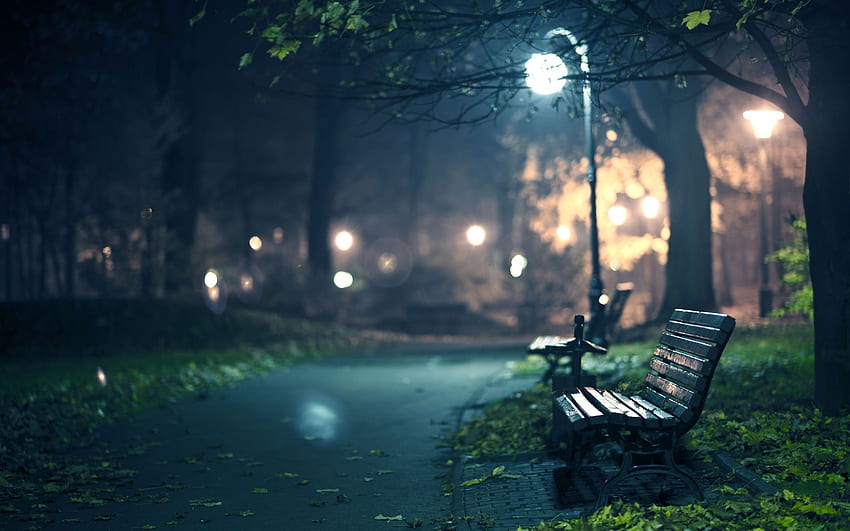 Bench and Background HD wallpaper