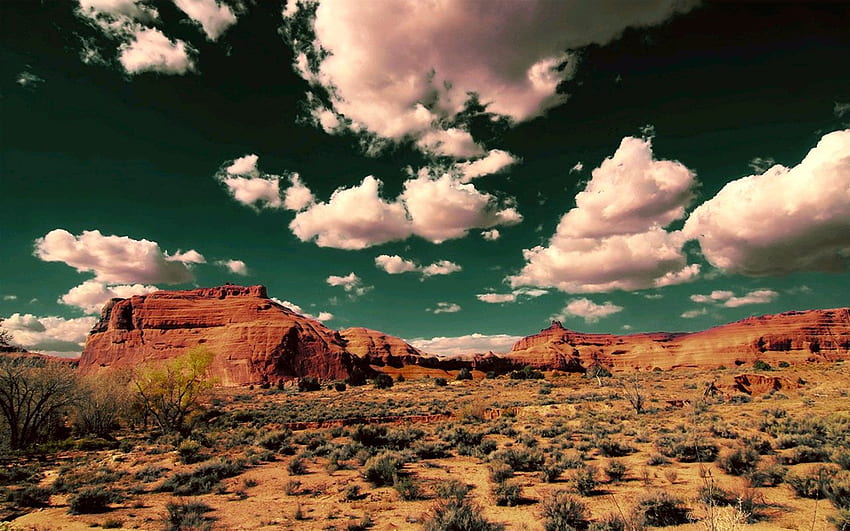 Groupe de paysages désertiques (88), désert du Texas Fond d'écran HD