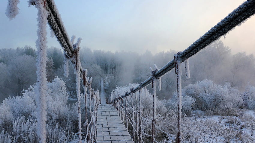 landscape, nature, bridge, frost, winter, snow, mist, trees., Snowscape HD wallpaper