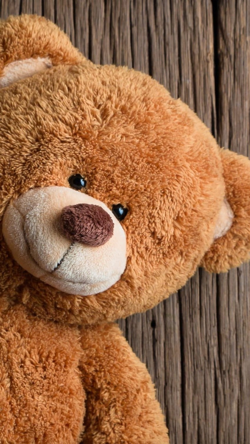 Teddy bear ka HD wallpapers | Pxfuel