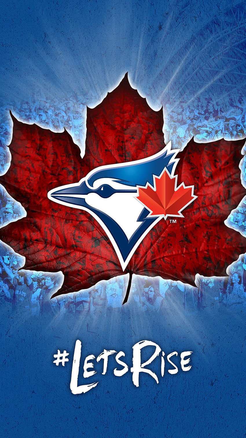 -iPhone des Blue Jays de Toronto Fond d'écran de téléphone HD