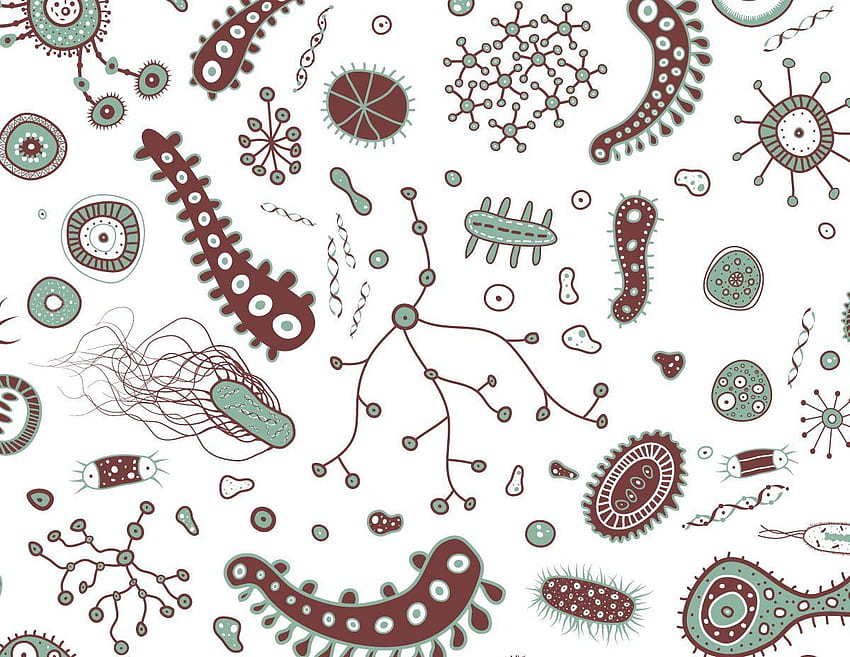 微生物学 高画質の壁紙