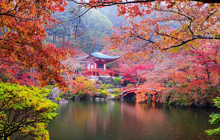 autumn, leaves, trees, branches, bridge, pond, Park, stones, Japan, ladder, pagoda, Kyoto, the bushes, colorful for , section природа HD wallpaper