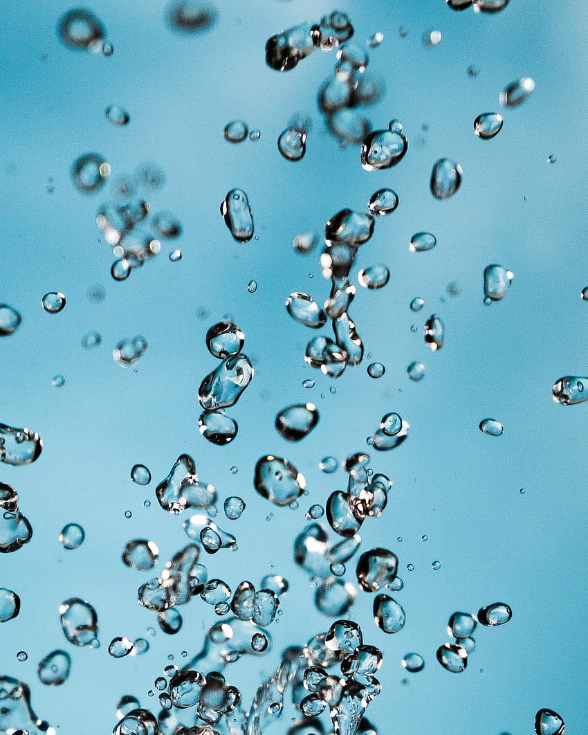 Water drops, close up, transparent HD phone wallpaper