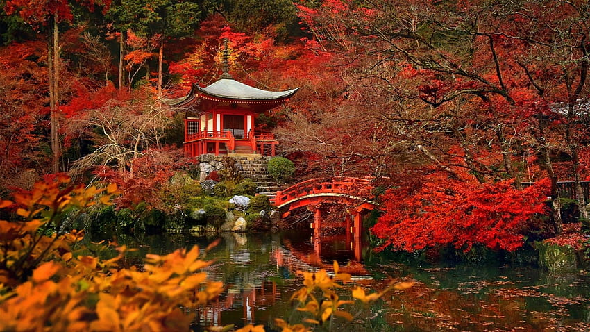 秋、日本、京都、背景 • 21381 • ワルラー、京都の秋 高画質の壁紙