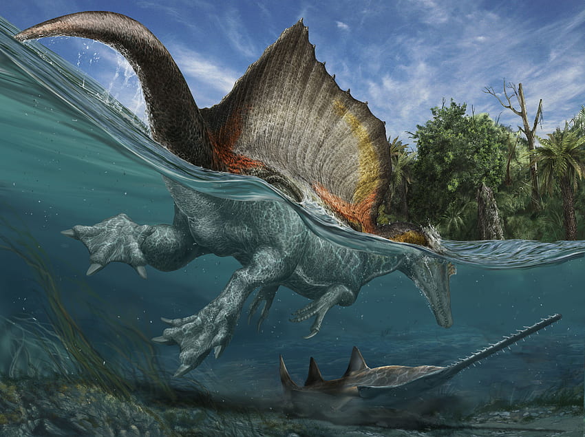 นักล่าไดโนเสาร์: TED Fellow Nizar Ibrahim ตามหา Spinosaurus ที่หายไป วอลล์เปเปอร์ HD