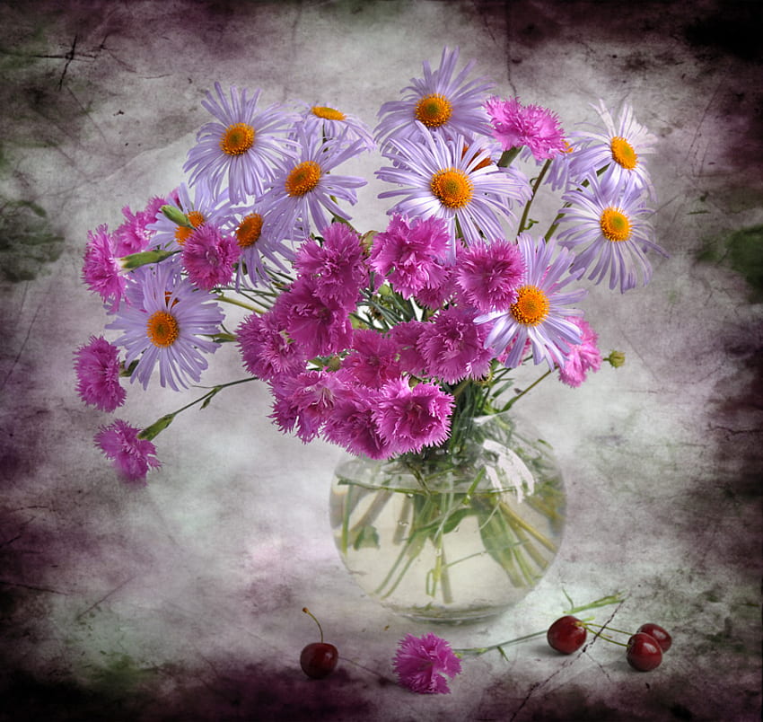 Refreshing, cherries, vase, beautiful, daisies, purple, daisy, refresing, carnation, fruit, flowers, water HD wallpaper