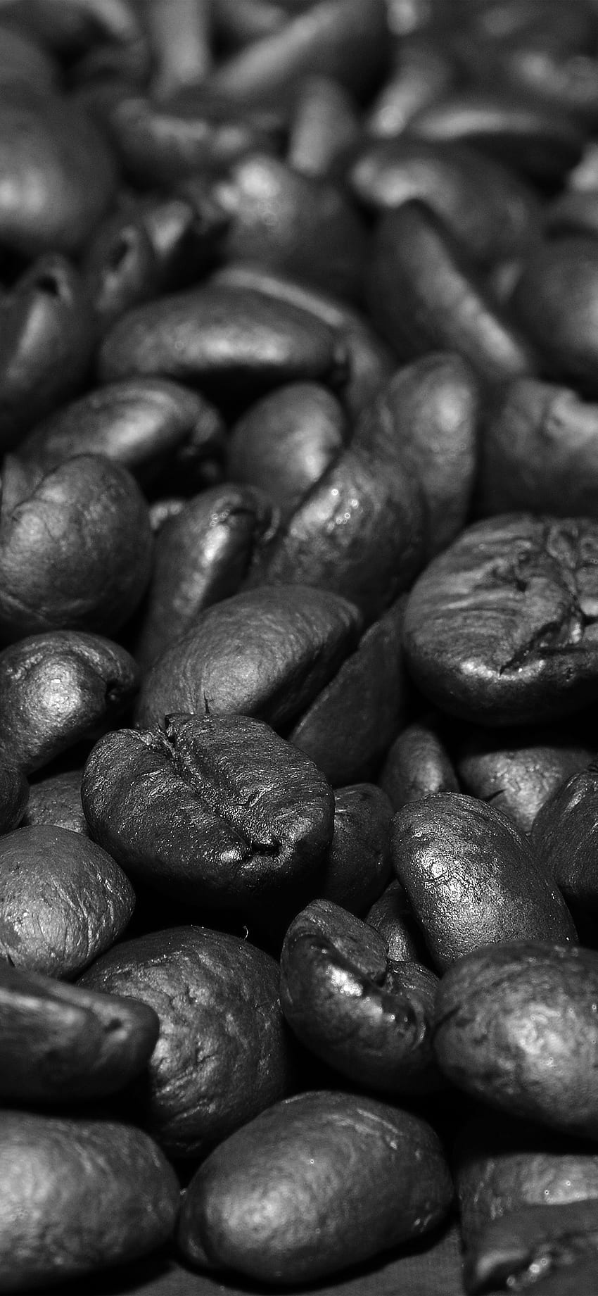 Coffee Bean Roasted Aroma Dark Bw , Aromatic HD phone wallpaper