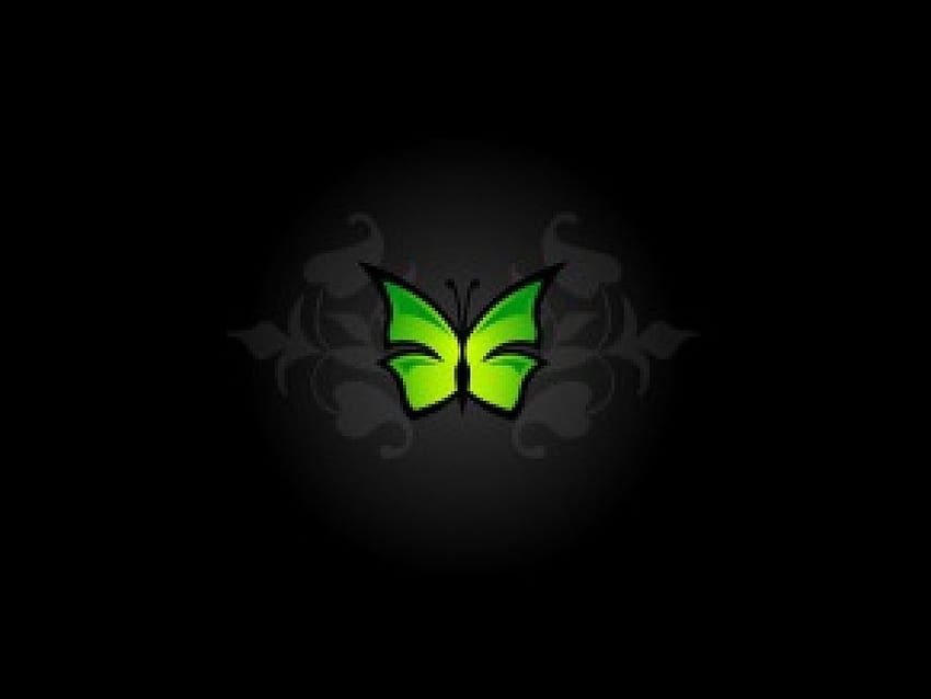 Simple Butterfly, green butterfly, on black, art HD wallpaper