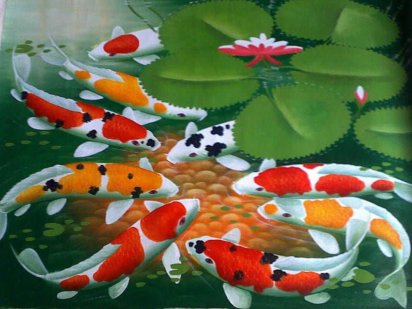 สุดยอดปลาคราฟสำหรับ. ไอเดียสำหรับ Koi Fish 3D วอลล์เปเปอร์ HD