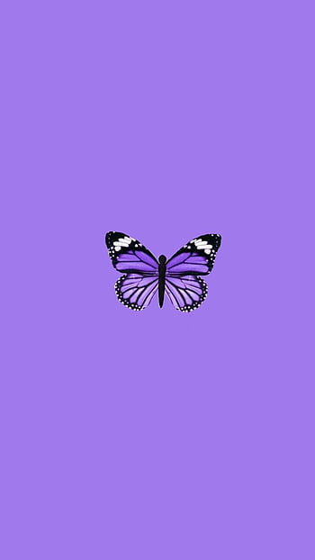 Wallpaper for phone purple butterfly by Milqa  Purple butterfly wallpaper Purple  wallpaper phone Purple wallpaper iphone