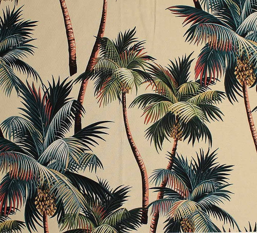Зашеметяващи щампи на тропически листа. Модел на палмово дърво, ретро тропически HD тапет