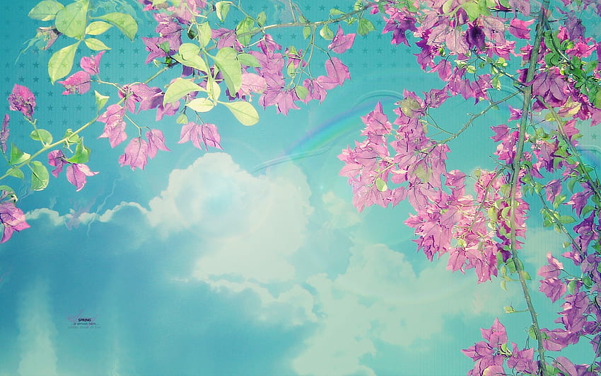 nubes flores primavera temporada cielos brillantes – Nature Flowers fondo de pantalla
