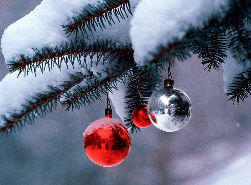 Días festivos, Año nuevo, Nieve, Desenfoque, Suave, Navidad, Vacaciones, Rama, Agujas, Decoraciones navideñas, Juguetes para árboles de Navidad fondo de pantalla