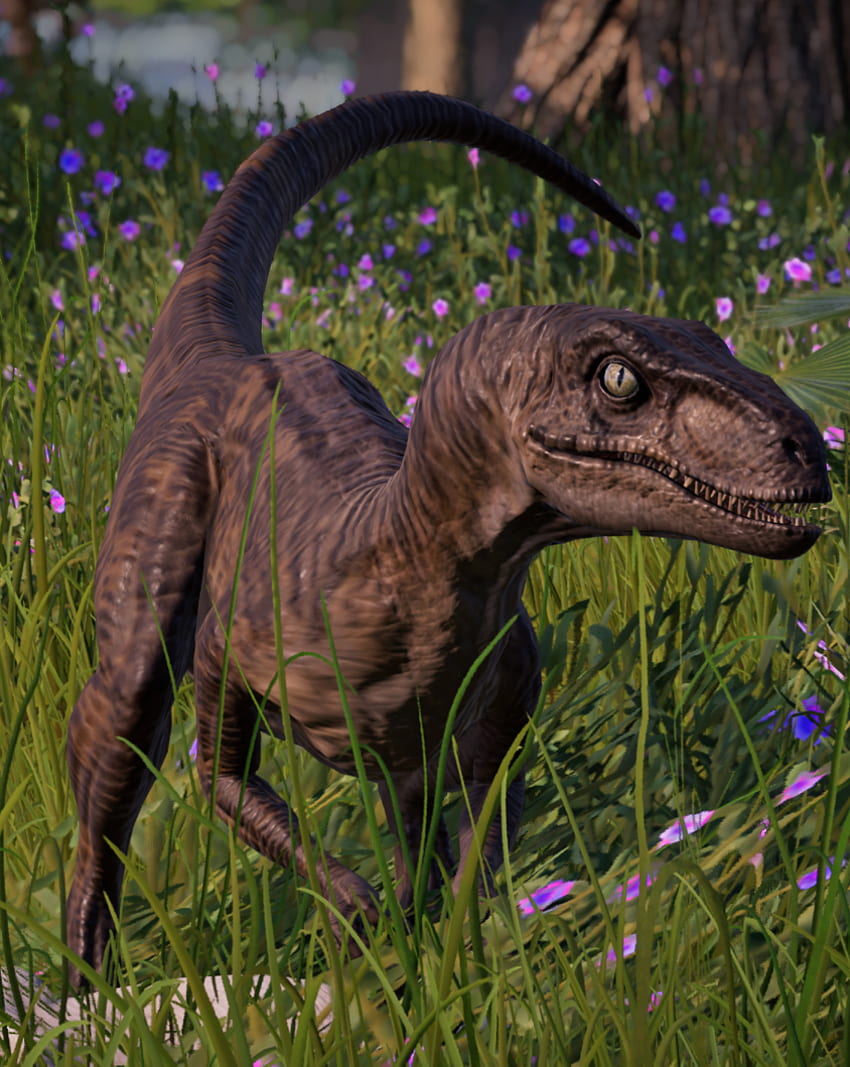 Velociraptor. Evolusi Dunia Jurassic, Velociraptor Biru wallpaper ponsel HD