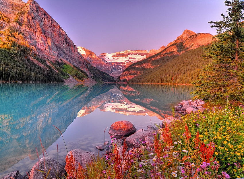 Parque Nacional de Banff, Alberta, flores, Canadá, montanhas, água papel de parede HD