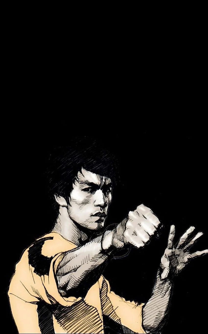 Bruce Lee Punch iPhone 6 Plus, Bruce Lee Çizgi Filmi HD telefon duvar kağıdı