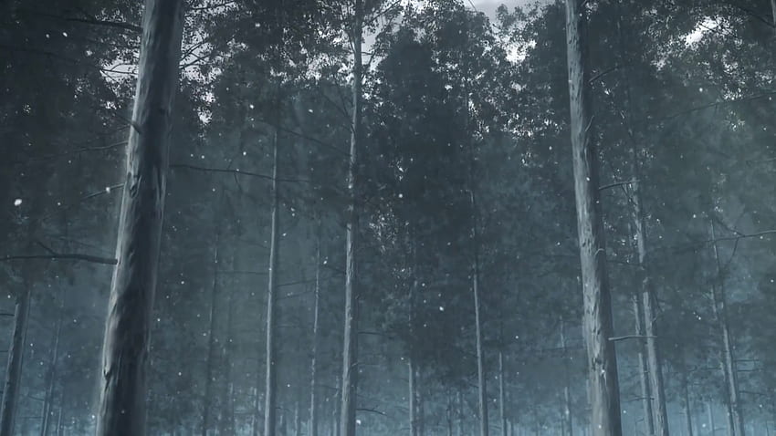 Demon Slayer Landscapes [1920×1080], Demon Forest HD wallpaper