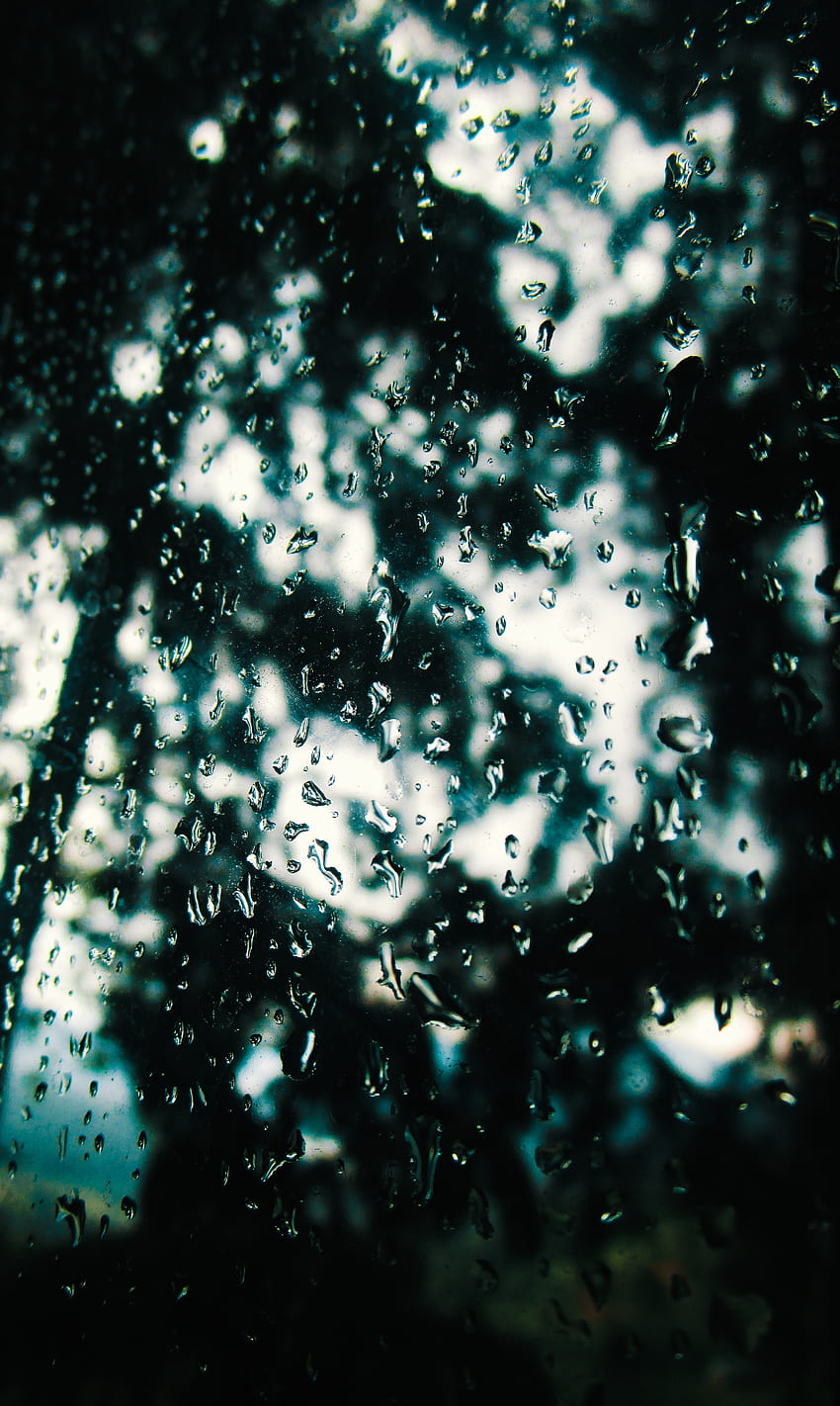ฝน หยด มาโคร เบลอ สมูท แก้ว หน้าต่าง วอลล์เปเปอร์โทรศัพท์ HD