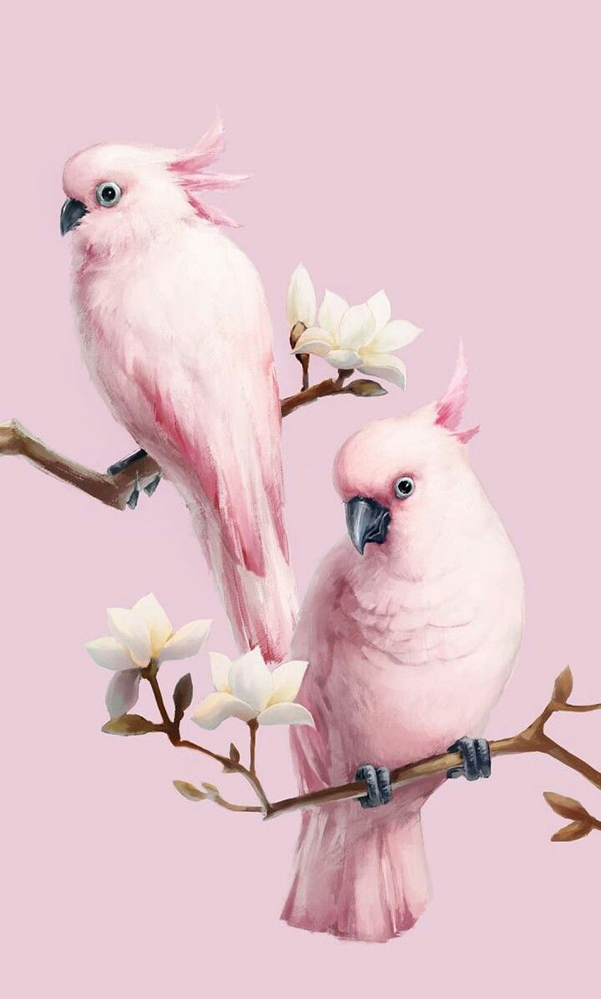Piękny różowy ptak komórkowy. Ptak, zwierzę, ptaki mobilne Tapeta na telefon HD