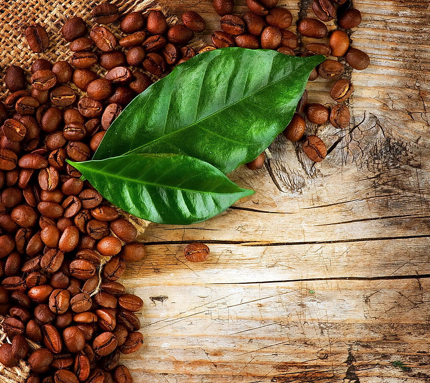 Kaffeebohnen, Kaffee, Bohnen, Blätter, Holz HD-Hintergrundbild