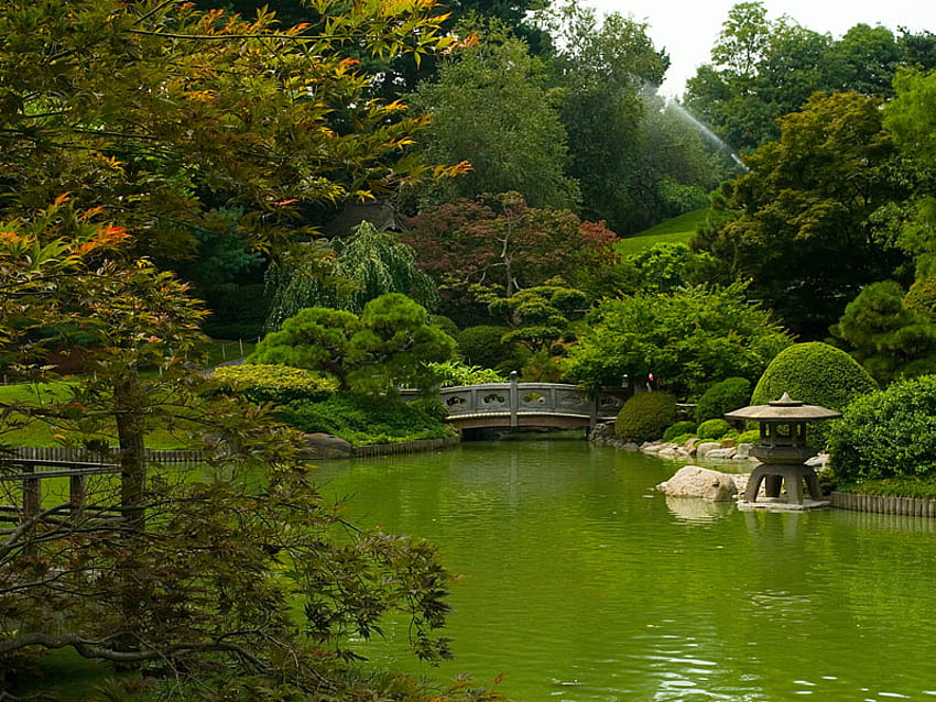 Japanese garden, green, trees, garden, botanic, brooklyn HD wallpaper