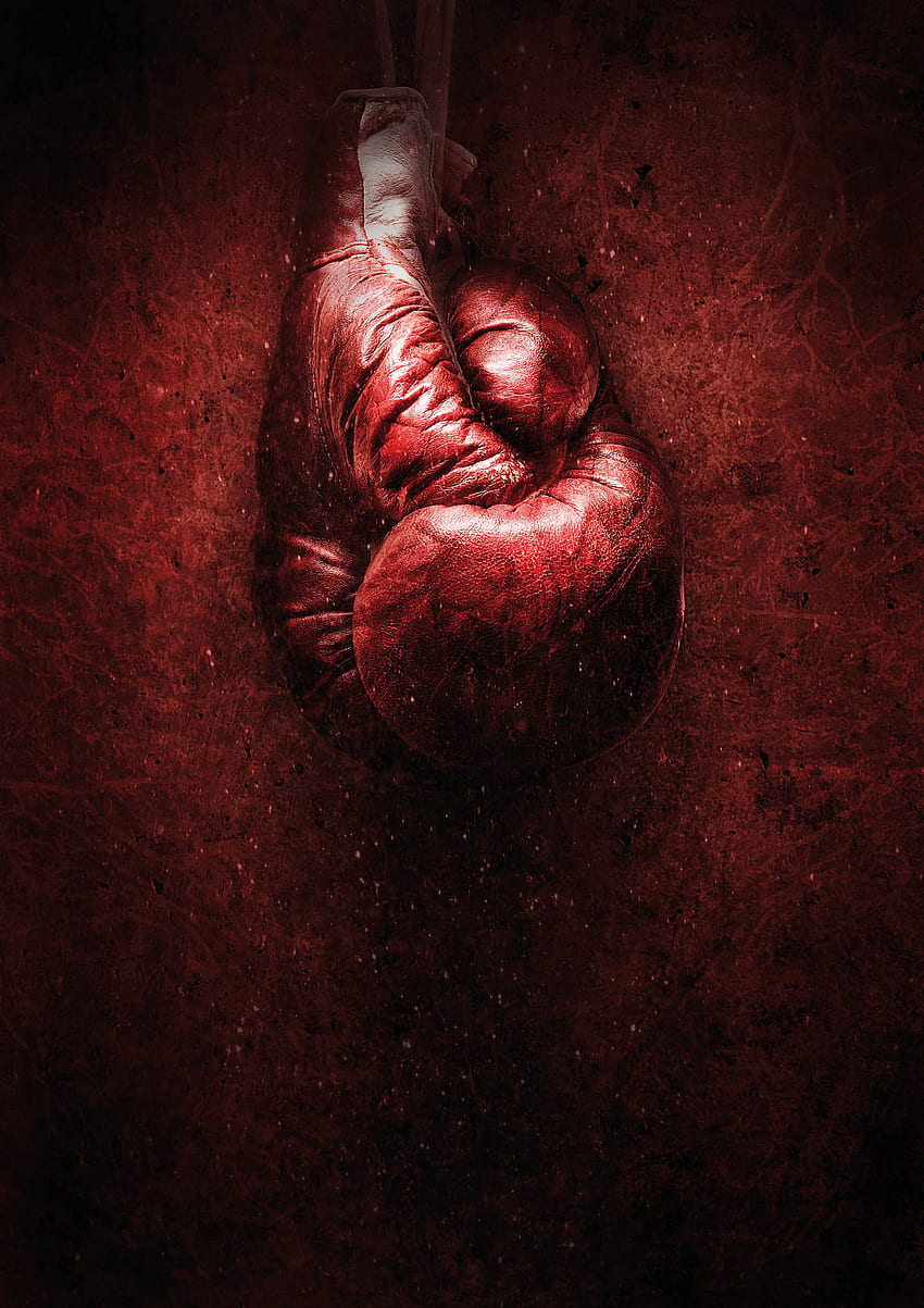 Hanging Boxing Gloves, Everlast Boxing HD phone wallpaper