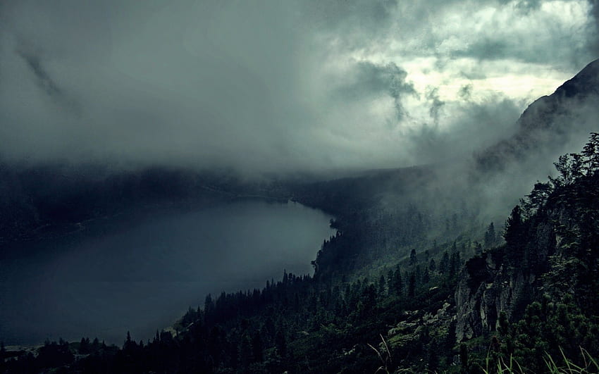 Wiki Dark Foggy Forest And Lake Data Src - Dark Forest , Dark Forest Lake HD wallpaper