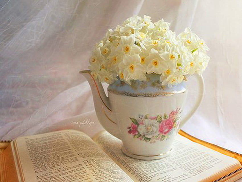 Teekanne des Frühlings, Buch, Fenster, Licht, weiße Blumen, Teekanne HD-Hintergrundbild