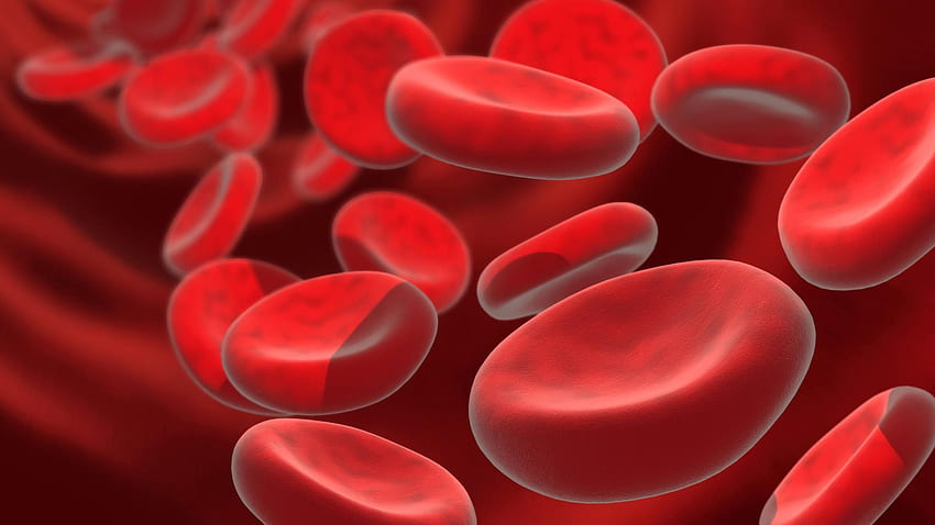 Sangre de células madre lista para ensayos en humanos en el Reino Unido dentro de tres años fondo de pantalla