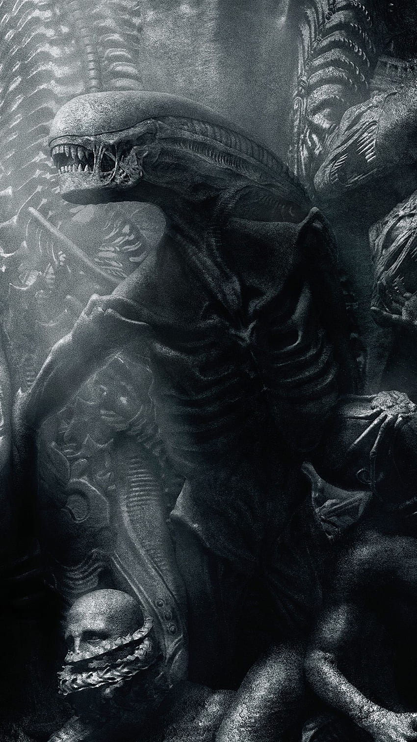 Movie Alien: Covenant () HD phone wallpaper