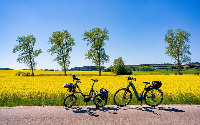 Spring in Germany, trees, road, rapeseeds, Germany, bicycles HD wallpaper