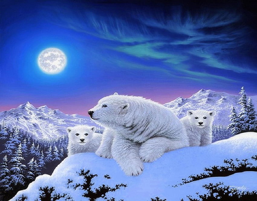 Polar Bear 27 Cool Polar Bear Hd Wallpaper Pxfuel 2734