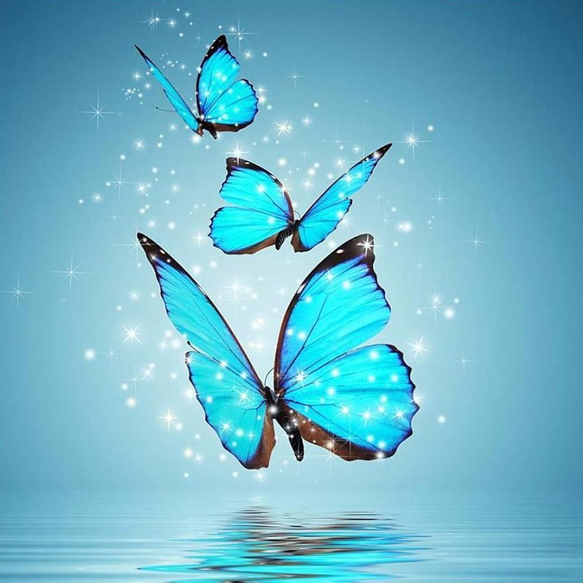 Erstaunliche fliegende Schmetterlinge. Schmetterling, blauer Schmetterling, Schmetterlingshintergrund HD-Handy-Hintergrundbild