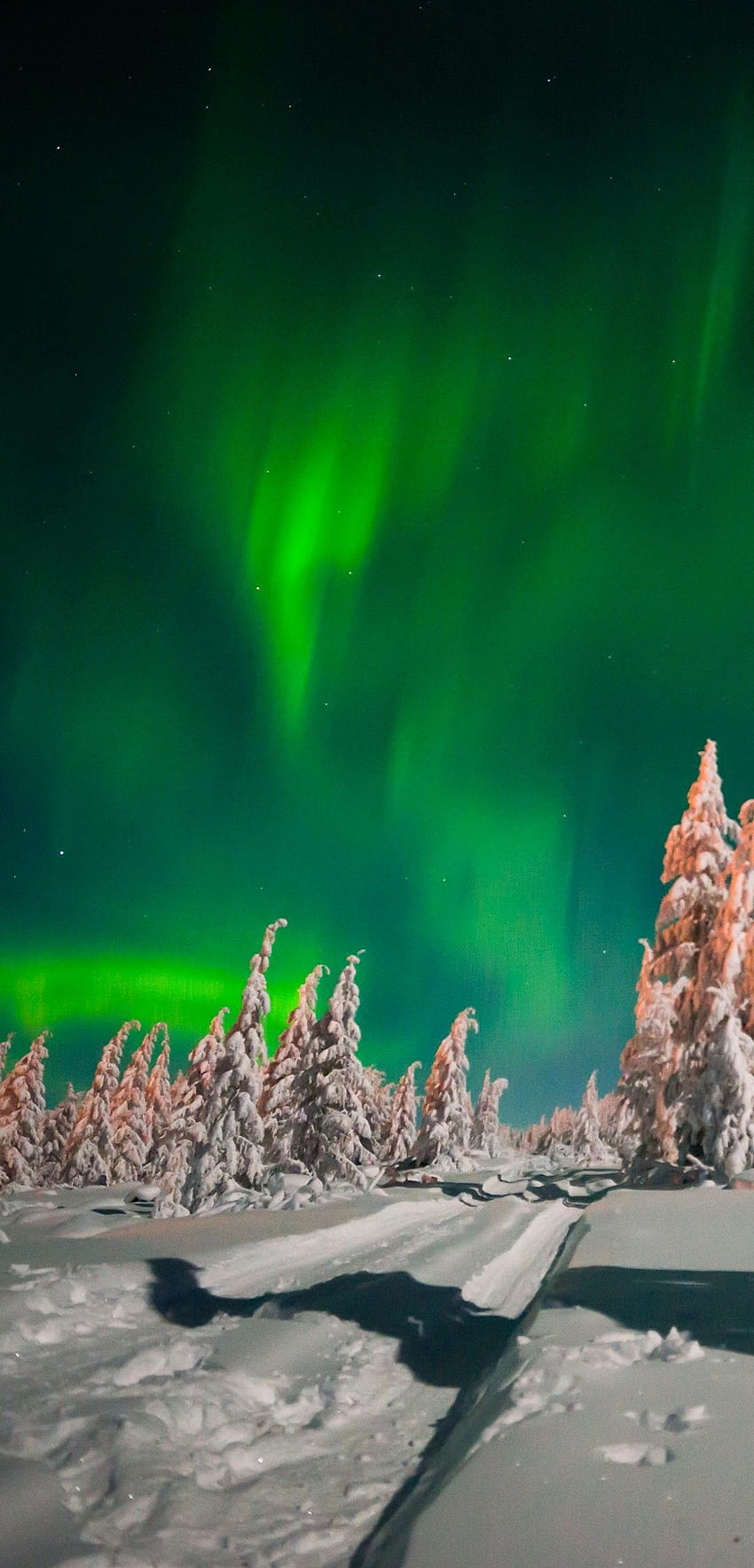Paisaje nocturno de invierno con bosque, carretera y luz polar sobre el bosque ártico fondo de pantalla del teléfono