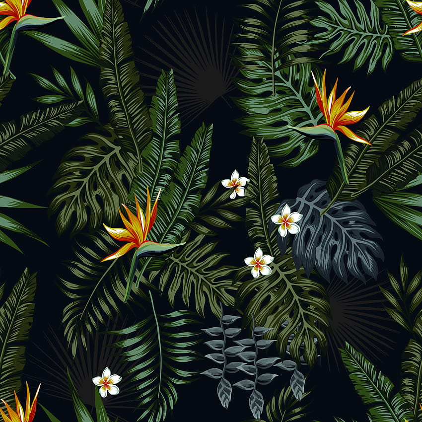 Green leaves, Swiss cheese plant, flowers, vector art HD phone wallpaper