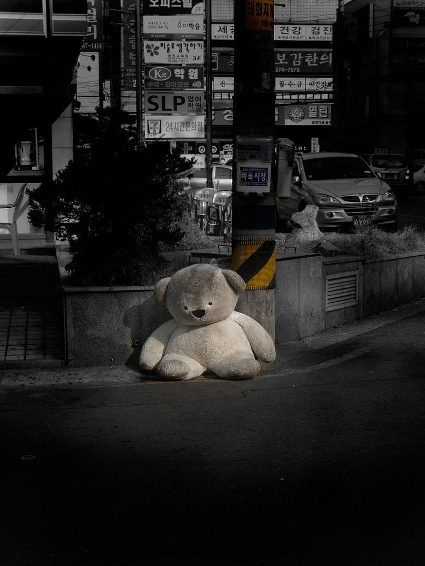 Lonely Korean Teddy Bear By Kakey Dogwood HD phone wallpaper