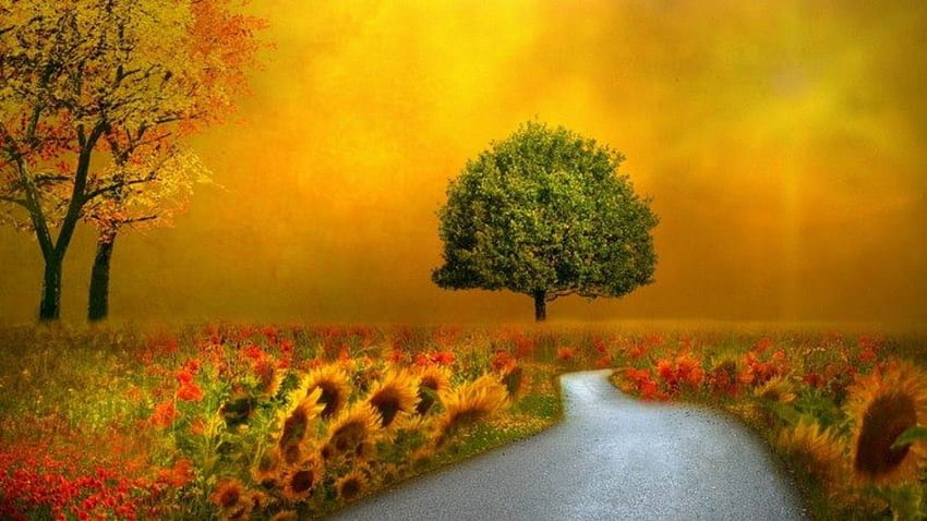 Landscape, scenery, sunflowers, field, beautiful, nature HD wallpaper