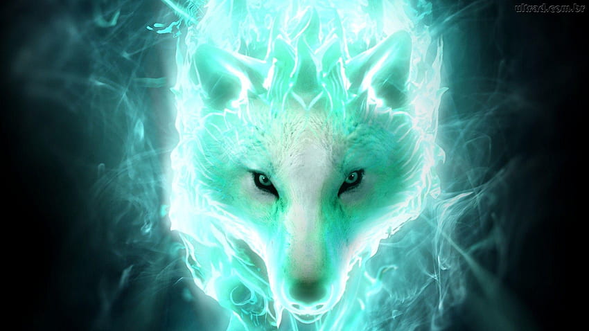 Special effects . Studio 10. Tens of thousands, Flaming Wolf HD wallpaper