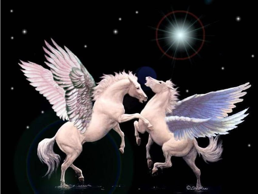 Pegasus Challenge, nuit, deux, ailes, noir, combat, pegasus, étoiles, étoile, clair de lune, fantaisie, espace, ciel Fond d'écran HD
