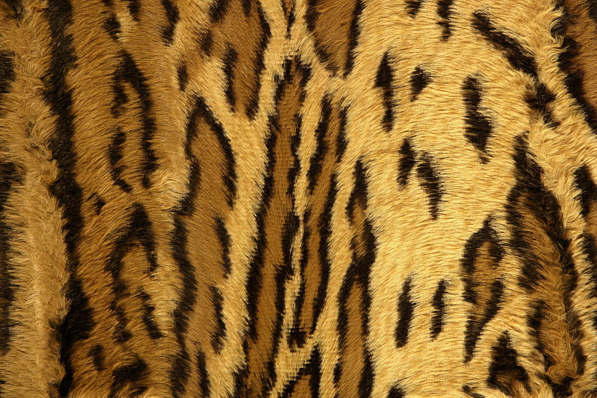 Lion print, Tiger Skin HD wallpaper | Pxfuel