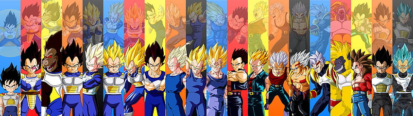 Goku i Vegeta wszystkie formy - Novocom.top, Goku Forms Tapeta HD