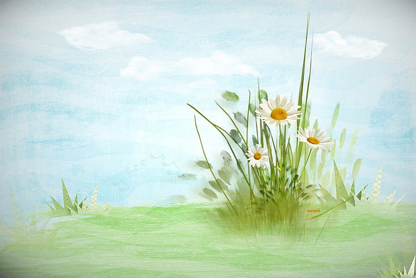 bienvenue printemps, blanc, herbe, printemps, marguerites, délicat, fleur, vert, nature, fleurs Fond d'écran HD