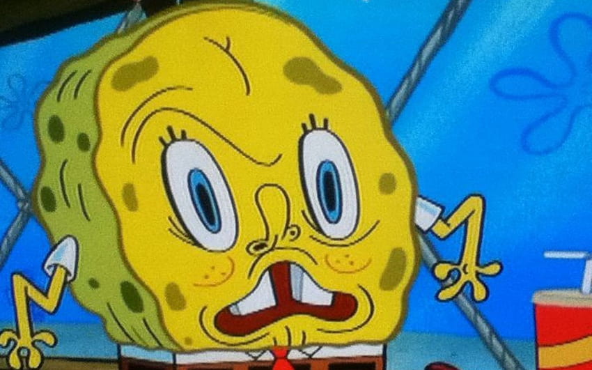 Trend One Of My New Favorite Spongebob Faces - Spongebob, Spongebob Meme HD  wallpaper